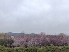 -云龙山庄