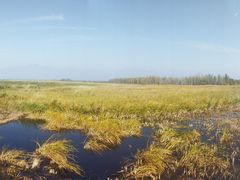 -野鸭湖国家湿地公园