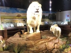 -陕西自然博物馆