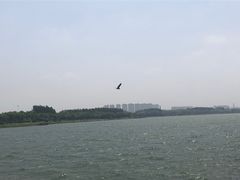 -丁香湖公园