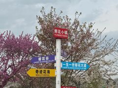 -南通鲜花小镇
