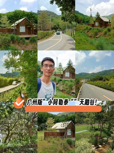 广州版“小阿勒泰”天鹅谷！