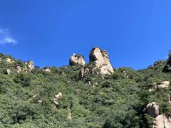 -大岭沟猕猴桃谷风景区