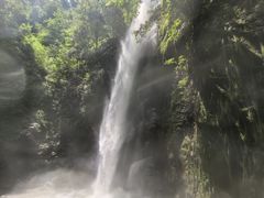 -莫里热带雨林景区