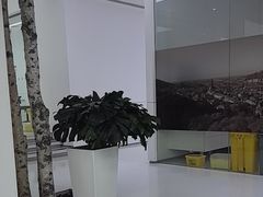 -极简口腔(总院)