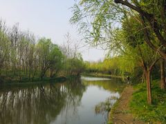 -新江湾城公园