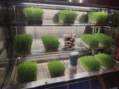 -蜀大侠火锅(四川北路店)