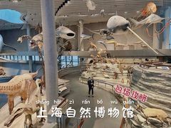 -上海自然博物馆