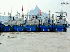 -沈家门渔港