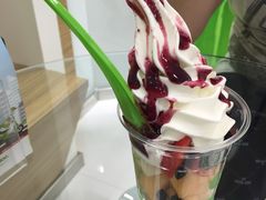 -Salud撒露欧洲冻酸奶(北苑上品店)