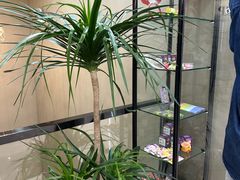 -牙博士口腔品牌连锁(昆山城区店)