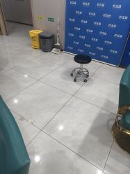 -碧莲盛不剃发植发