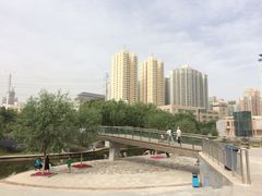 -雁滩公园