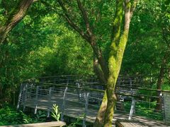 -西湖风景区-江洋畈生态公园