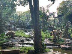 -海南热带野生动植物园