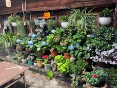 -龙姐私房菜(和顺古镇店)