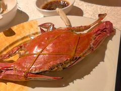 -金美华轩(东方路齐鲁店)