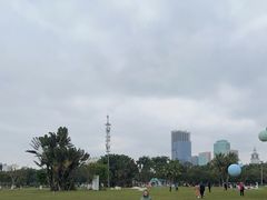 -万绿园