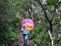 -灵山