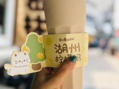 -猫的魔法密林(衣裳街店)