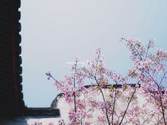 -乌山风景区