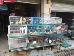 -金科花卉市场