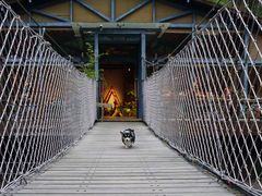 -宁波余姚老柿林山居度假村