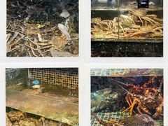 -海鲜e族(马王堆店)