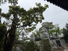 -苏州文庙(姑苏区)