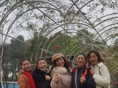 -洪湖家庭农场·团建·露营·会议