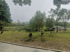 -狼山风景名胜区