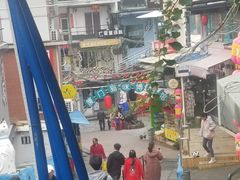 -猫咪博物馆(顶澳仔猫街店)