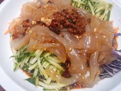 东北大拉皮-邵年鸽(杨庄店)