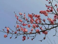 -沙澧河风景区