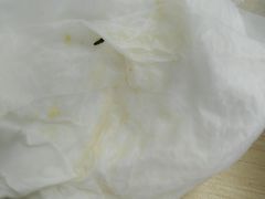 -顶巧鸡汤馄饨(虹口总店)
