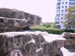-裕龙汤泉