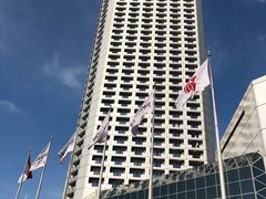 -新加坡瑞士史丹福酒店