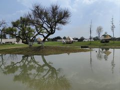 -夏河溪乡野公园