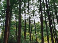 -杭州西湖柳莺里酒店·闻莺厅