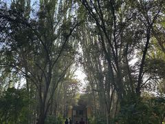 -艾提尕尔清真寺