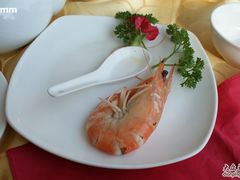 海捕虾-海岛渔村大酒店(云霄路店)