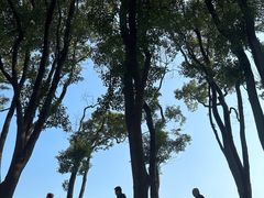 -洪湖生态旅游区