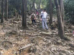 -火炉山森林公园