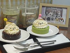 -星多哈·狗咖·拼豆·咖啡