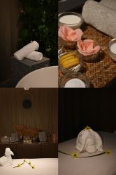 -VELEE·SPA高定疗愈会所