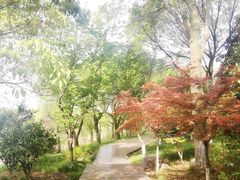 -太湖湾开元名庭大酒店