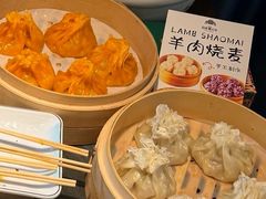 -百彦蒙古包·碳烤羊排·手抓羊肉(万江首店)