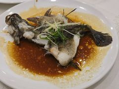 -寻味顺德·南记酒家·传统顺德菜·鱼生(广源路店)