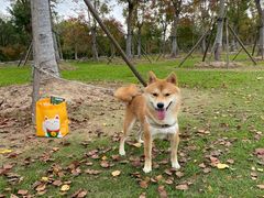 -上海海湾国家森林公园