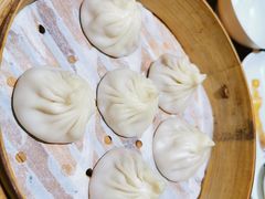 鲜肉小笼-苏小柳手工点心(人民广场分院)
